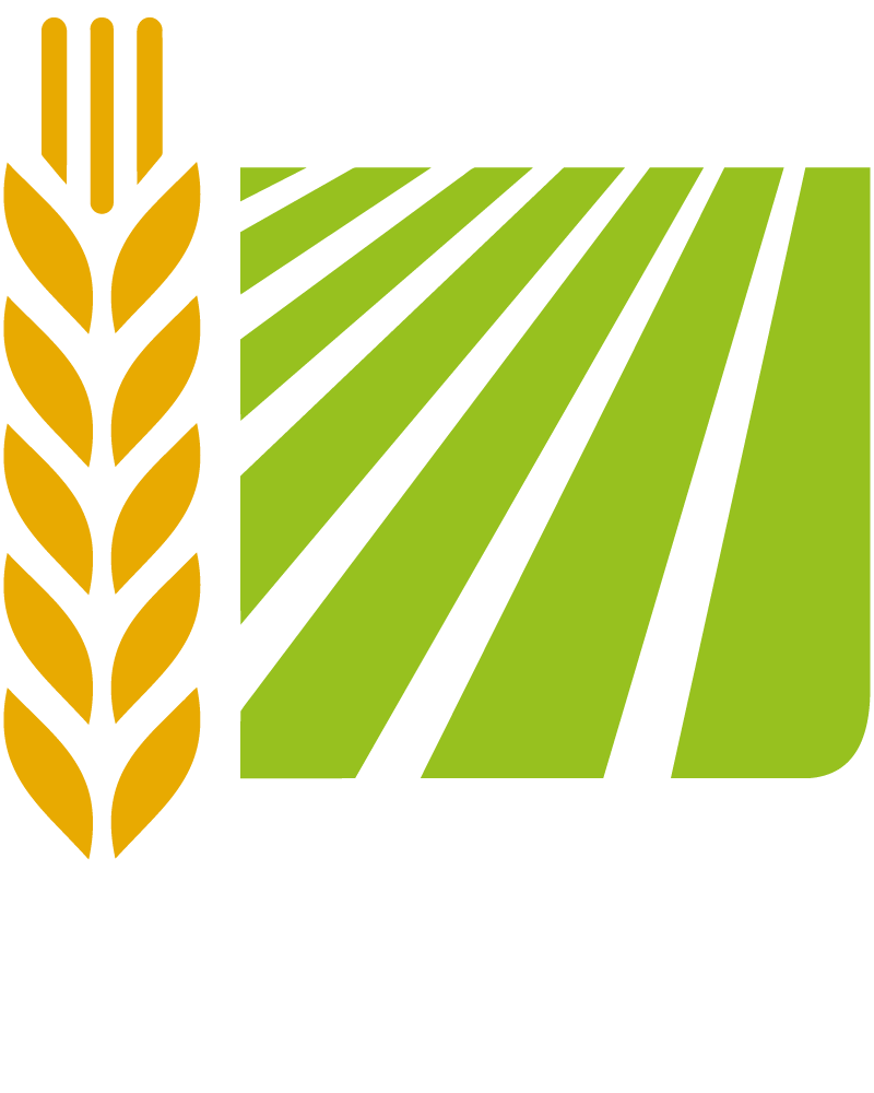 אשכול